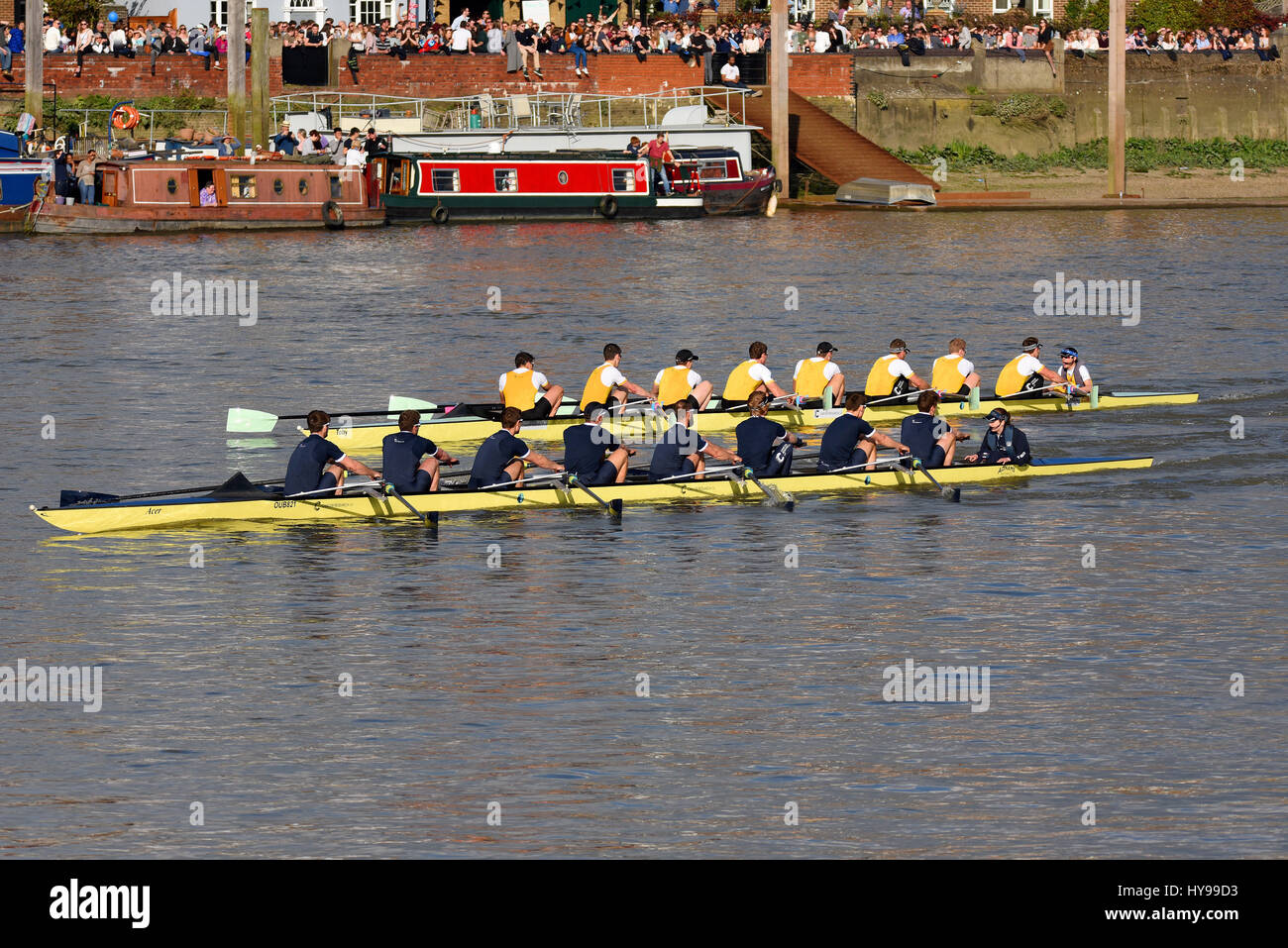 Universität-Regatta auf der Themse in Barnes, London. Reservieren Sie Rennen der Männer mit Isis (Oxford) und Goldie (Cambridge) Stockfoto
