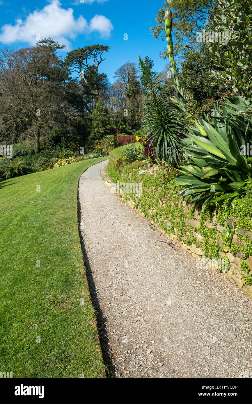 Trebah Garden subtropische Weg Weg Tourismus Touristenattraktion Besucherattraktion ziemlich malerischen Pflanzen Gartenbau Tagesausflug Cornish Cornwall Stockfoto