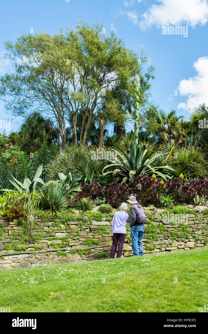 Trebah Gärten Sub-Tropical Tourismus Touristen Paar Leute Besucher Attraktion sehr malerischen Pflanzen Cornwall Cornwall Stockfoto