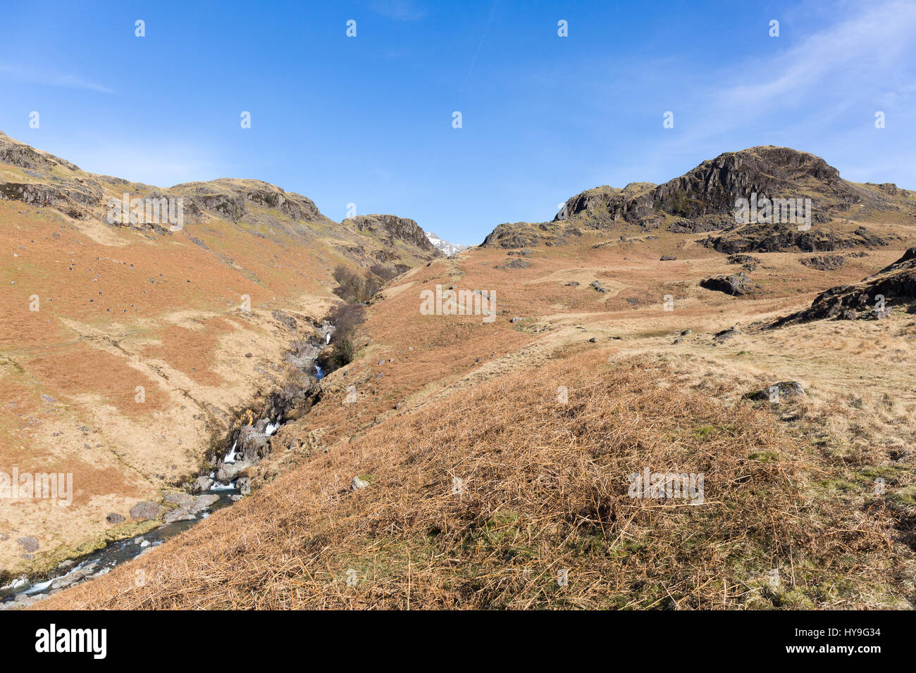 Fluß Esk, obere Eskdale Stockfoto