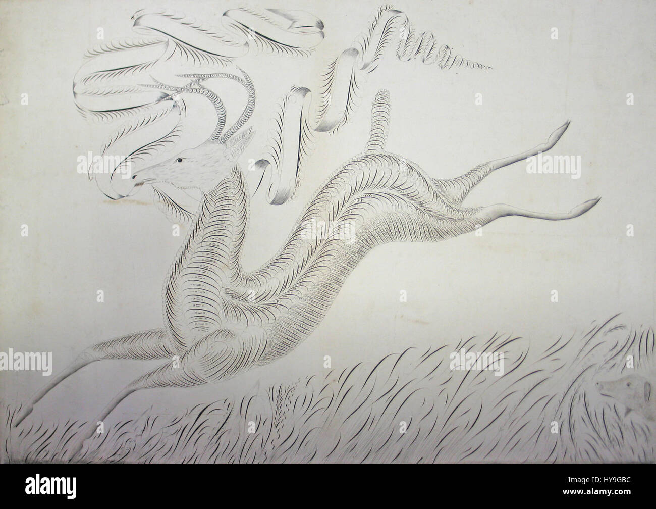 Hirsche laufen durch Levi B. Eberly, Tinte auf Papier Stockfoto