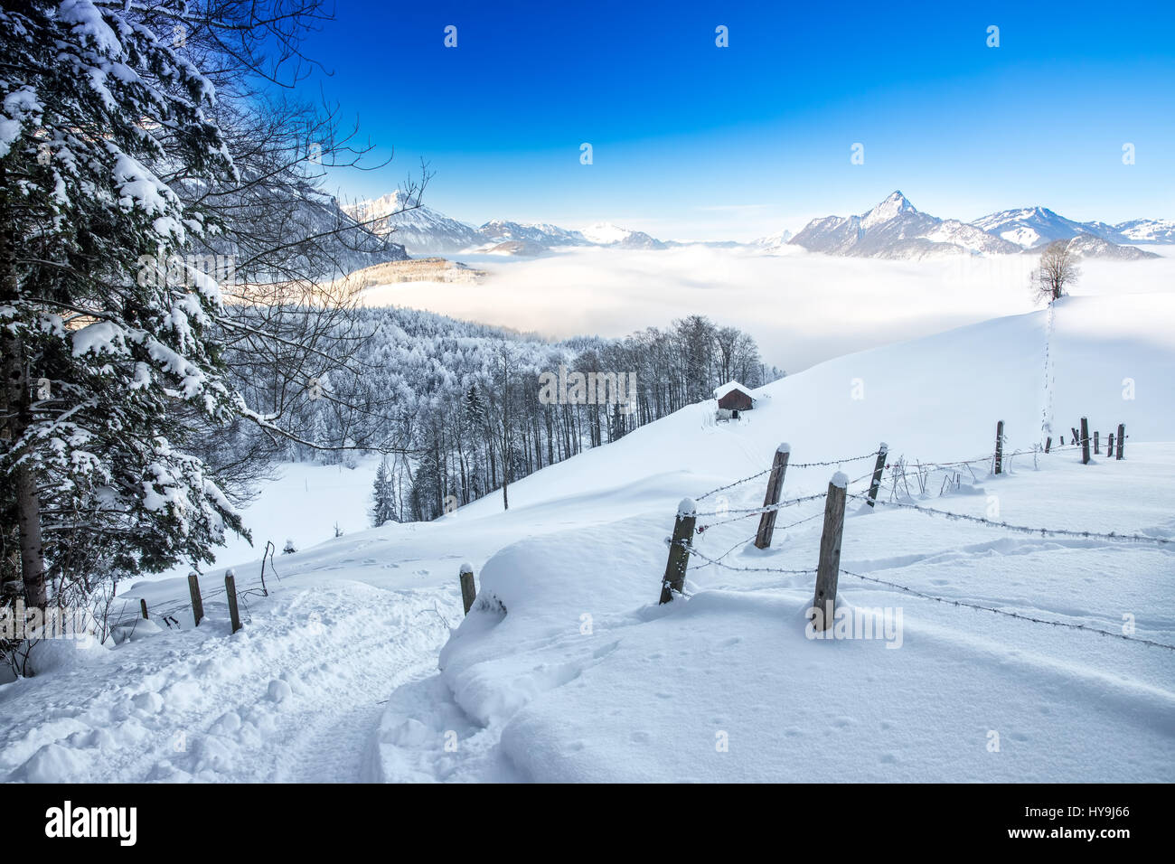 Bäumen fallenden Neuschnee in den Alpen mit einer atemberaubenden Winterlandschaft. Stockfoto