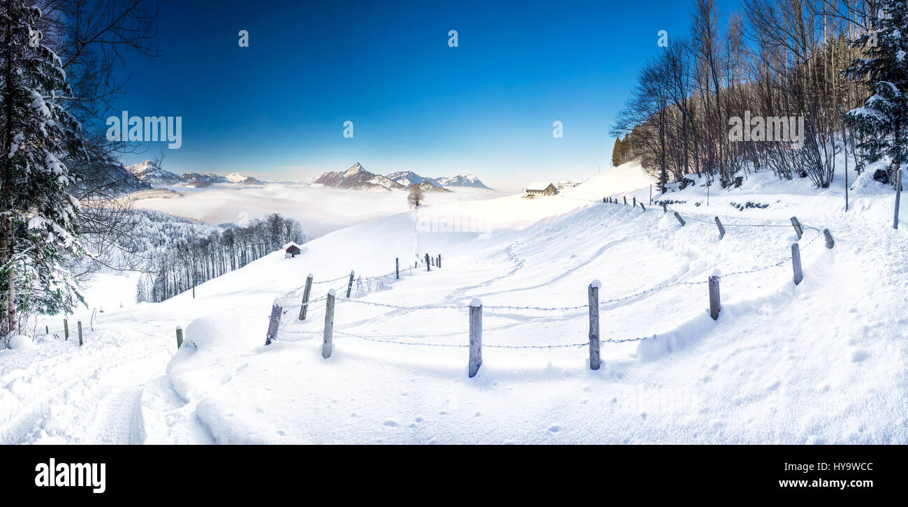 Bäumen fallenden Neuschnee in den Alpen mit einer atemberaubenden Winterlandschaft. Stockfoto