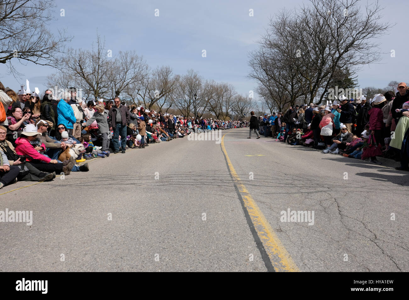Stratford, Ontario, Kanada, 2. April 2017. Tausende von Menschen versammeln sich zum der Stratford jährliche Swan-Parade, wenn die Stadt Schwäne zum Fluss Avon in der Feier der Ankunft des Frühlings zurück. Bildnachweis: Rubens Alarcon/Alamy Live-Nachrichten. Stockfoto