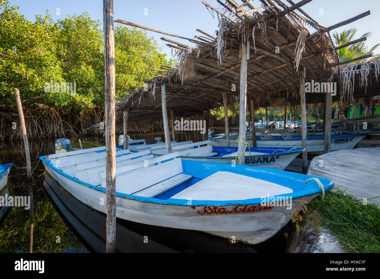 Boote an den Docks des Naturreservats Tovara in San Blas, Mexiko. Stockfoto