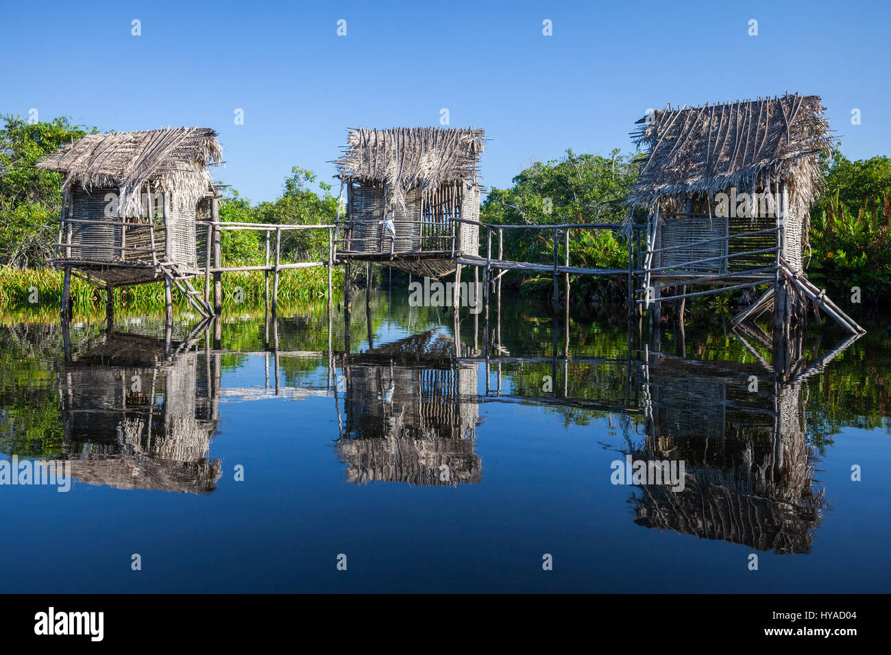 Drei Häuser auf Stelzen in den ruhigen Gewässern des La Tovara Reserve, San Blas, Mexiko. Stockfoto