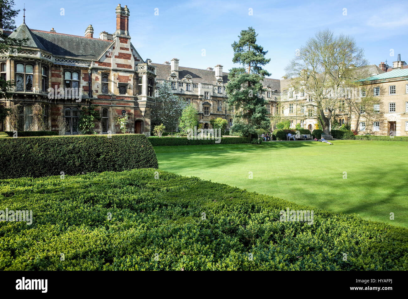 Rasen und College-Gebäude am Pembroke College, einem Teil der University of Cambridge, UK Stockfoto