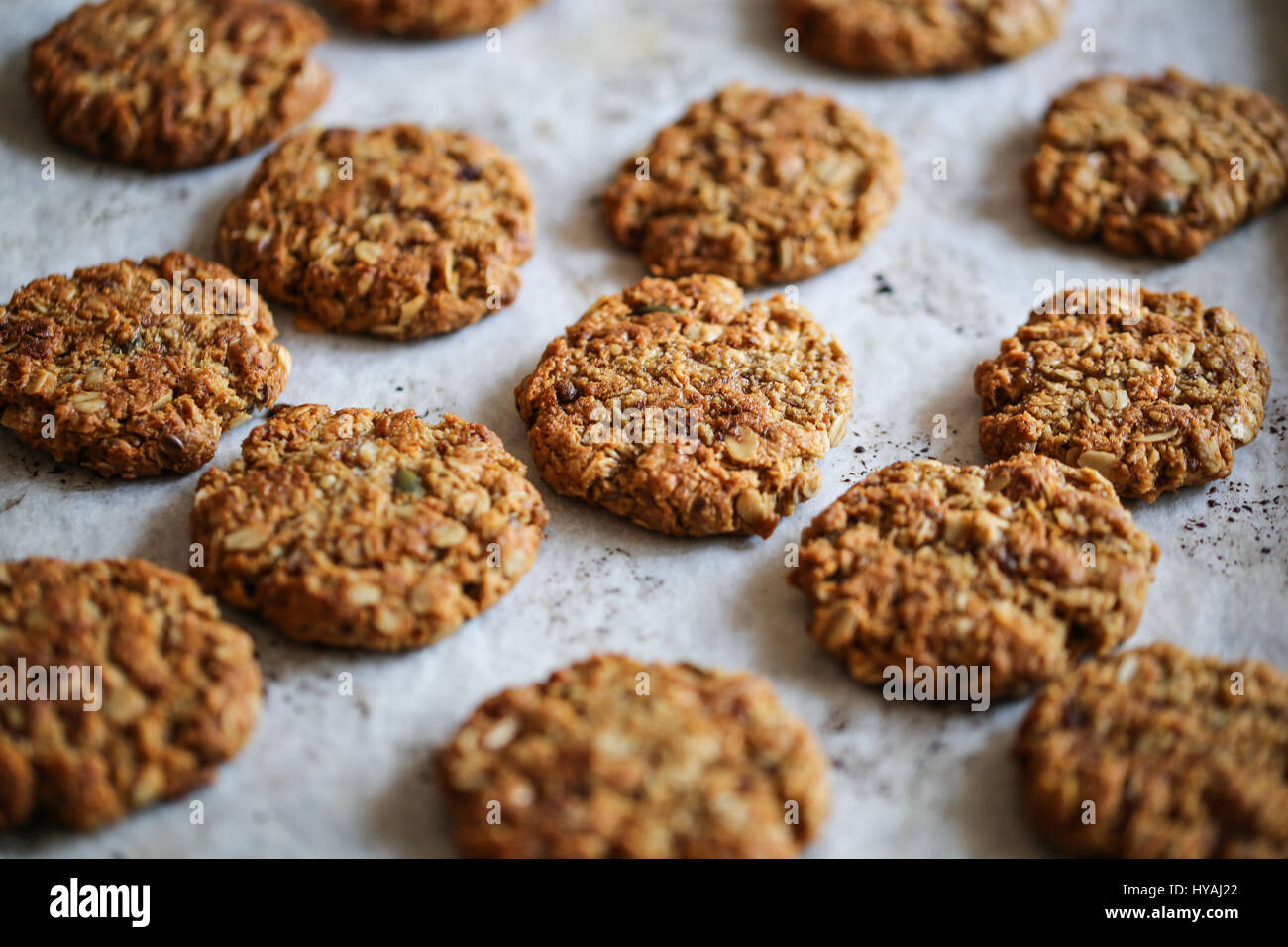 traditionelle Anzac Hafer cookies Stockfoto