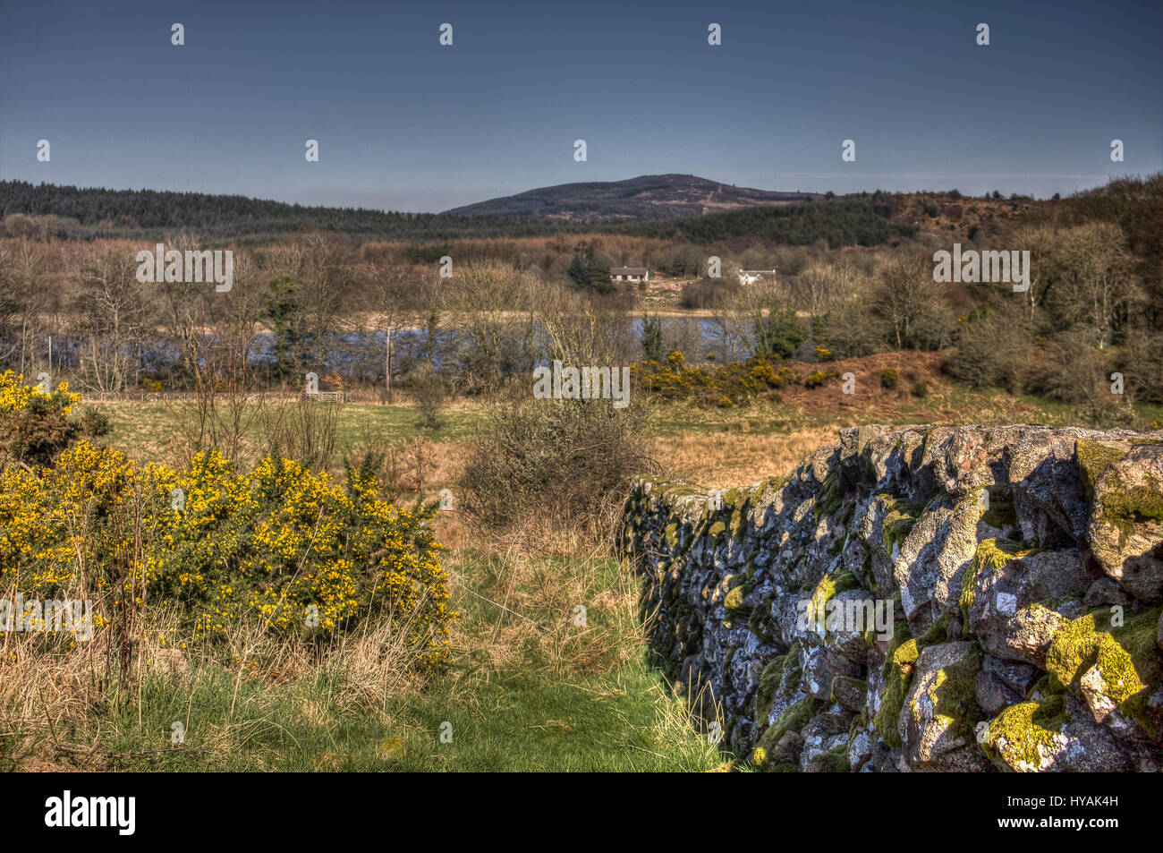 Auf der Suche nach unten Steinmauer von Kirkland Hügel in Richtung weiße Loch am Colvend, Dumfries and Galloway, Schottland, UK. Stockfoto