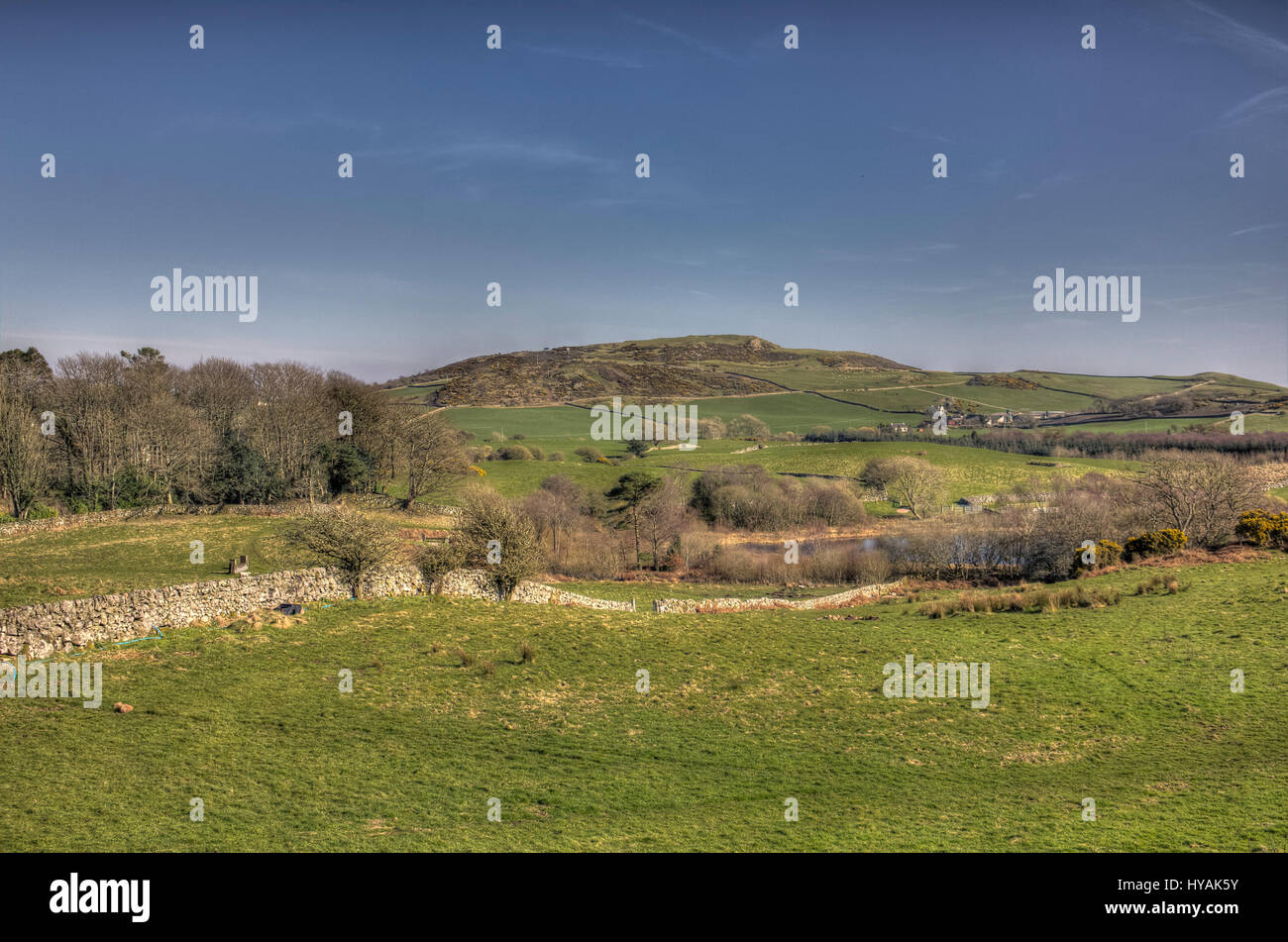 Blick von Kirkland Hill in Richtung Schwarzes Loch am Colvend, Dumfries and Galloway, Schottland, UK. Stockfoto