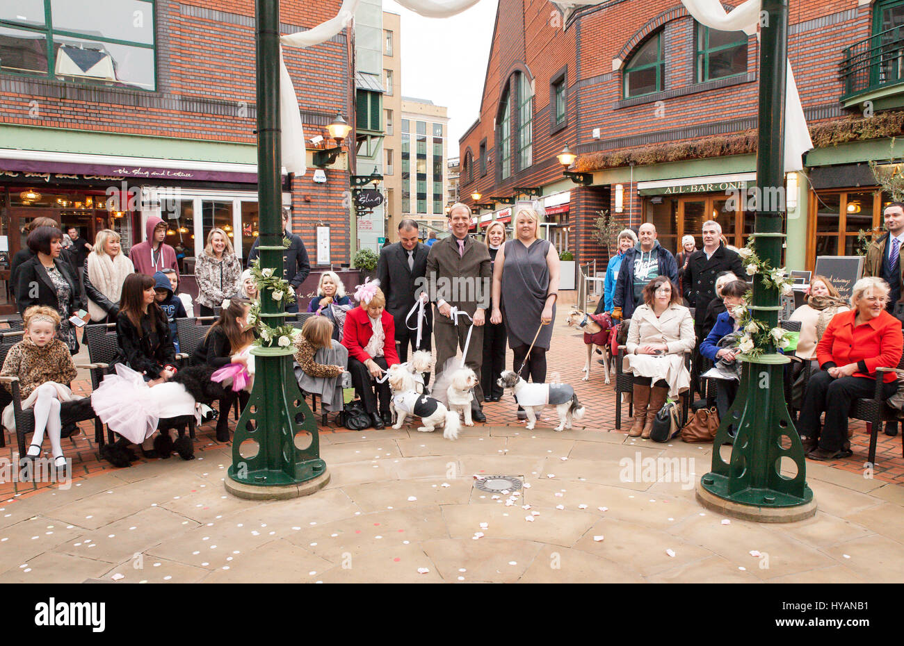 Birmingham, UK: Gäste versammeln sich in der Mitte der Stadt für den Empfang hält Graham Riley seine Braut Dame (L) und Beccy Haywood (R) Bräutigam Rufus halten. Eine DOGGY Hochzeit könnte die meisten Wirbelwind noch als ehemalige lonely-hearts Rufus und Lady erhalten hitched nach dating für nur drei Wochen. Bilder zeigen wie Liebe-Up Bichon Frise Lady (3) und Cavachon Rufus (2) wurden von ihren Besitzern den Gang ging und wurden zur Freude der 60 Menschen und Hunde Hochzeitsgäste verheiratet. Trotz der Geschwindigkeit ihrer Beziehung konnte nicht die Einstellung werden mehr romantisch – mit Großbritanniens nur Haustier Registrar Ann Clark (57) for- Stockfoto