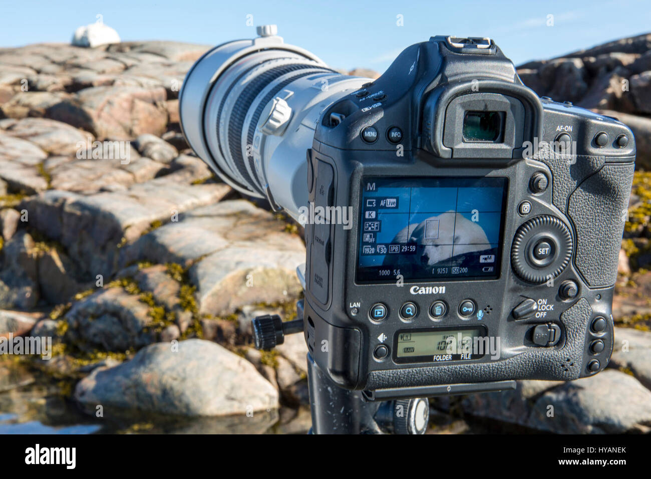 hudson bay longchamp