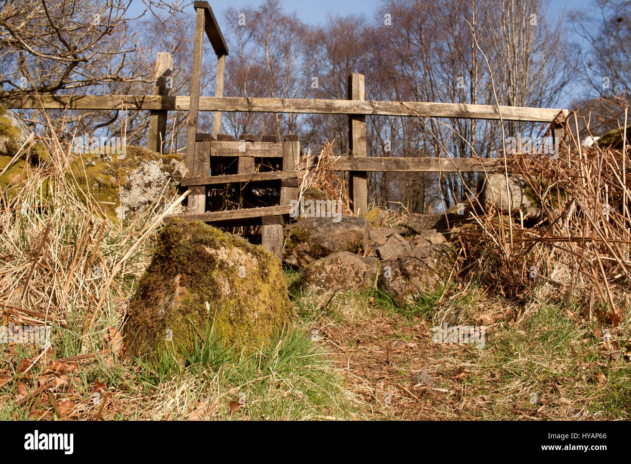 Stil über eine Trockenmauer an Mugdock Country Park, Milngavie, East Dunbartonshire, Schottland Stockfoto