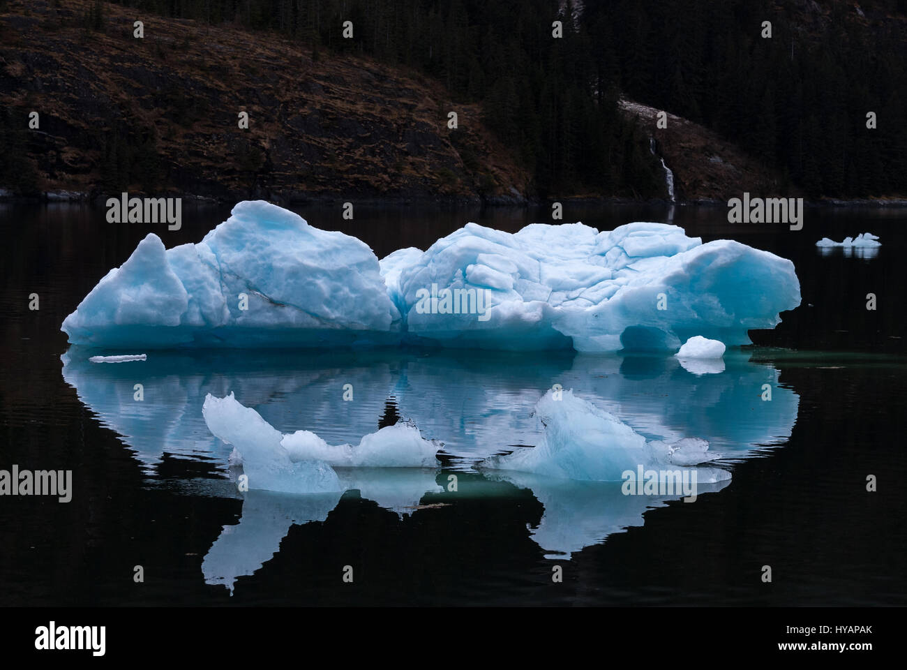 Kleine blaue Eisberg (bergy) mit Reflexion im Wasser in der Alaska Inside Passage, USA. Stockfoto