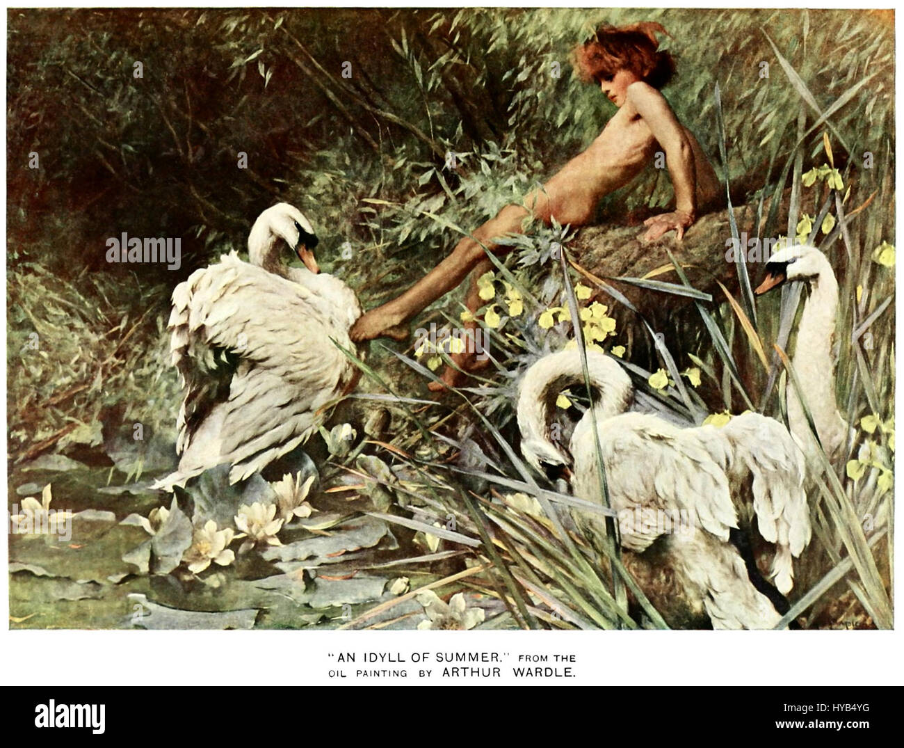 „An Idyll of Summer“ (1900) von Arthur Wardle ist ein Vintage-Farbfoto, das die heitere Schönheit einer Sommerszene einfängt. Wardle ist bekannt für seine Meisterschaft in der Tier- und Landschaftsmalerei und spiegelt eine harmonische natürliche Umgebung wider. Stockfoto