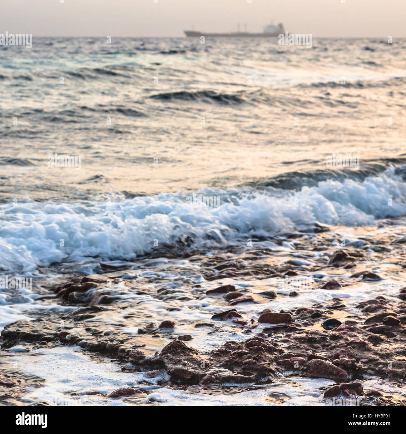 Reisen nach Nahost Land Jordanien - Surfen auf Küste von Golf von Aqaba am Roten Meer in Winterabend (Focusing im Vordergrund) Stockfoto