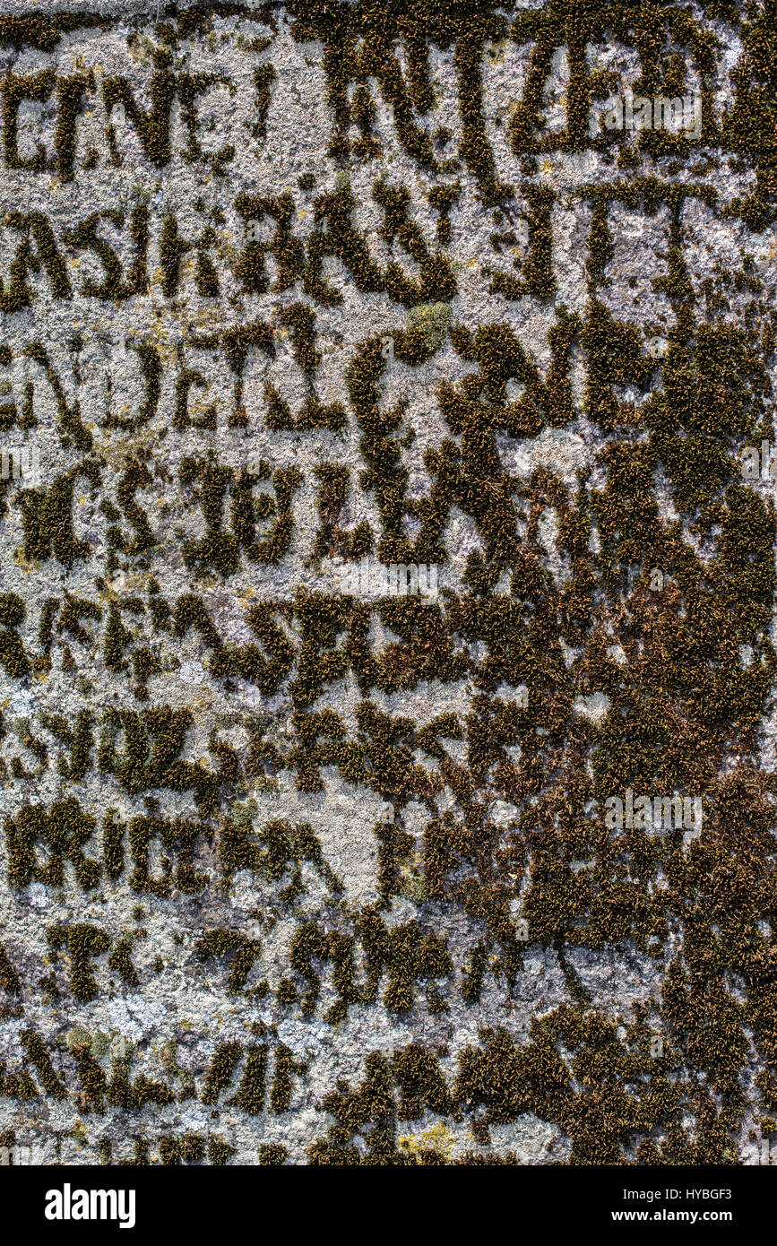 Alten Grabstein mit grünem Moos für Hintergrund bedeckt.  Moos in Form der Buchstaben auf alten Grabstein. Stockfoto