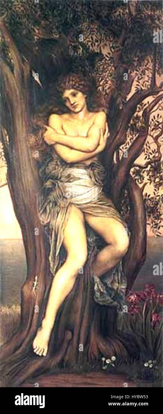 Die Dryade ist eine mythologische Figur aus der griechischen Mythologie, die einen Baumgeist darstellt. Dryads werden oft als schöne Frauen dargestellt, die in Harmonie mit der Natur leben, insbesondere in Wäldern und Hainen. Stockfoto