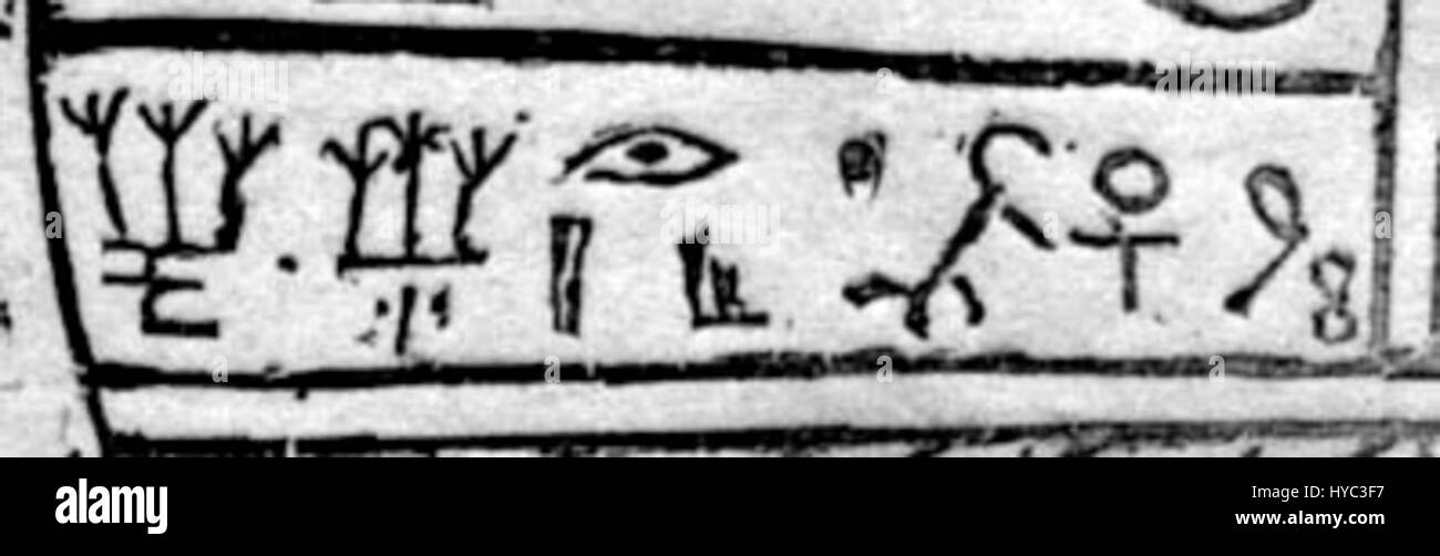 Dieses Bild mit dem Titel „Fac2Fig8“ ist eine visuelle Darstellung im Zusammenhang mit der Untersuchung anatomischer Merkmale oder einer bestimmten künstlerischen Figur. Der genaue Fokus der Arbeit ist unklar, erfordert aber detaillierte anatomische oder künstlerische Analysen. Stockfoto