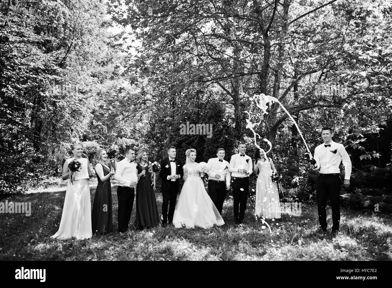 Eleganz-Hochzeitspaar mit Brautjungfern und besten mans trinken Champagner. Zehn Personen. Stockfoto