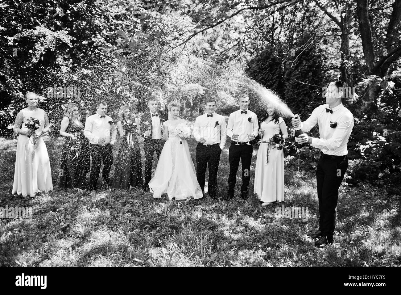 Eleganz-Hochzeitspaar mit Brautjungfern und besten mans trinken Champagner. Zehn Personen. Stockfoto