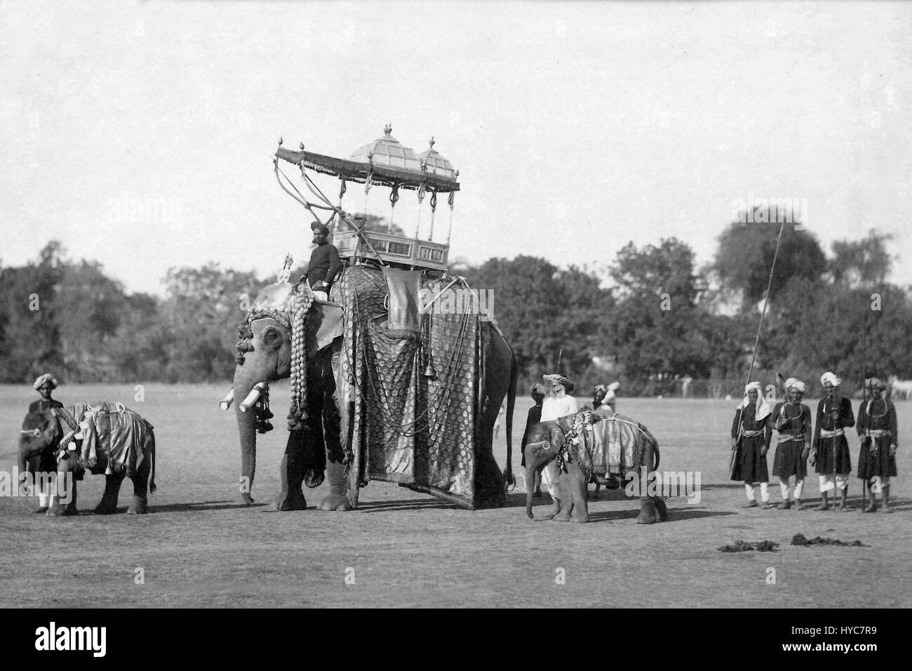 Vintage Foto von Elefanten, Jaipur, Rajasthan, Asien, Indien, 1900 s Stockfoto