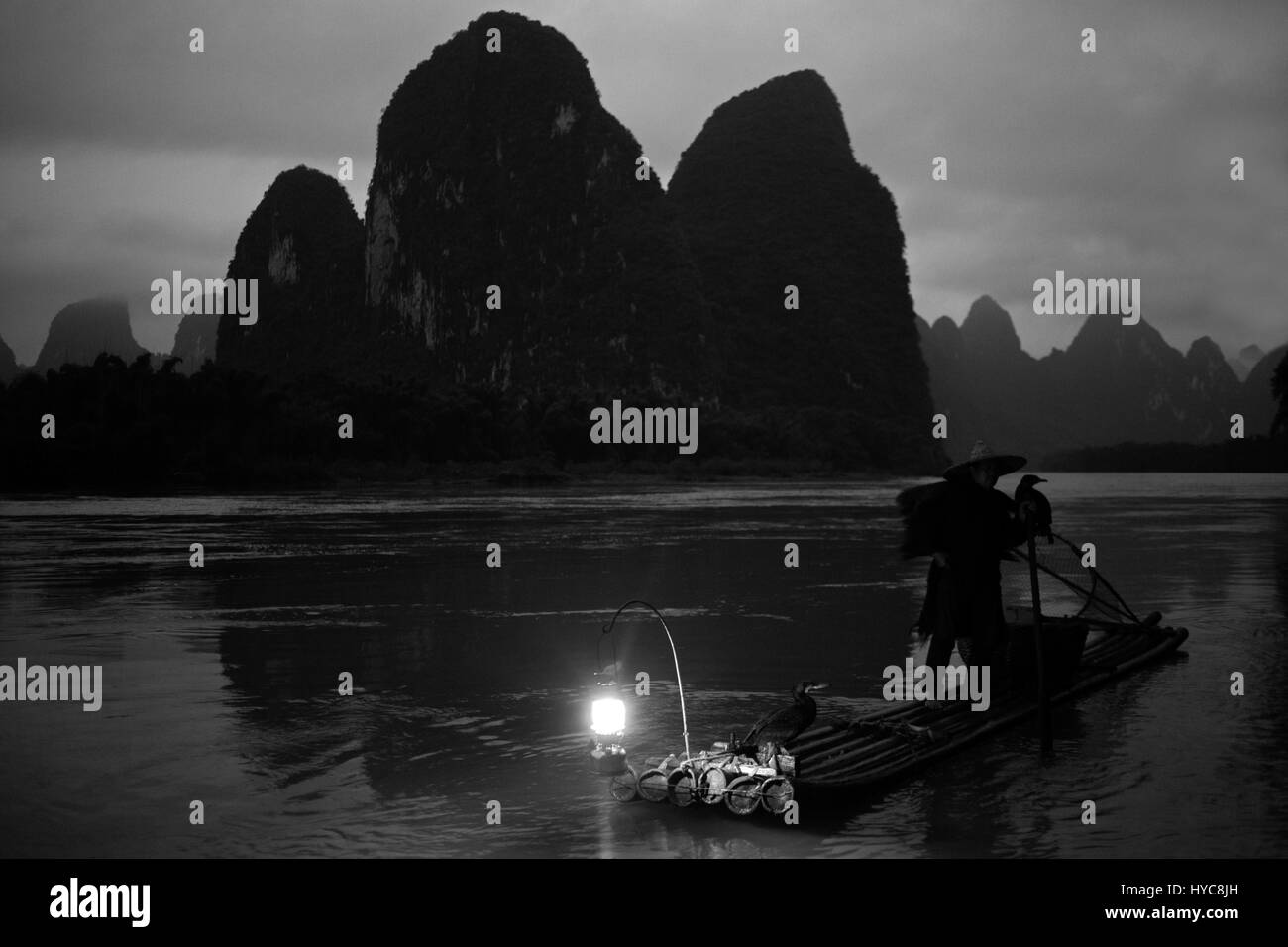 Kormoran Fischer li-Fluss, Xingping, china Stockfoto