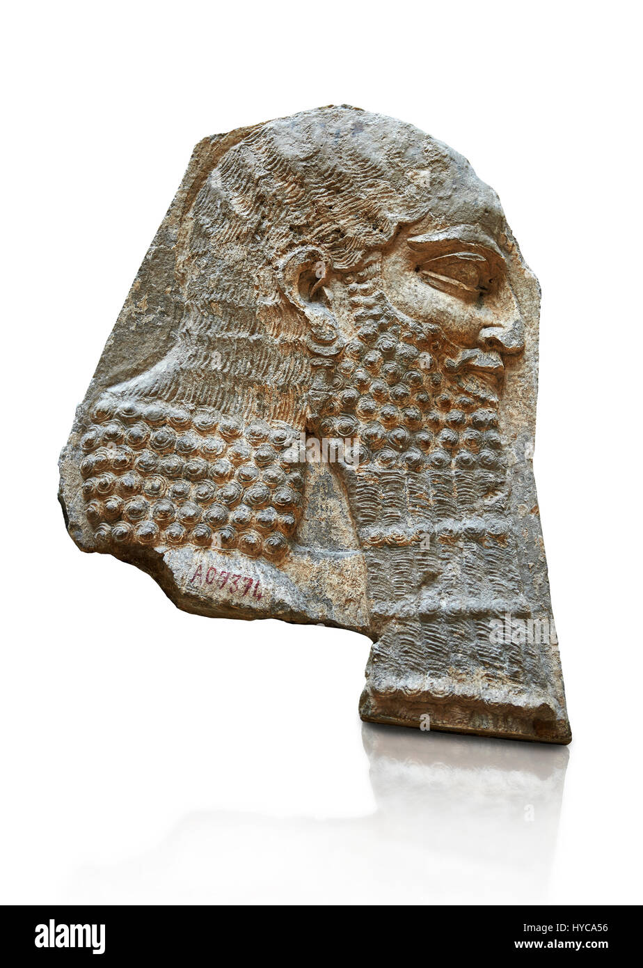 Stein Relief geschnitzte Panel ein Würdenträger. Inv AO 7374 aus Dur Sharrukin Palast der assyrische König Sargon II in Khorsabad, 713-706 v. Chr..  Louvre M Stockfoto