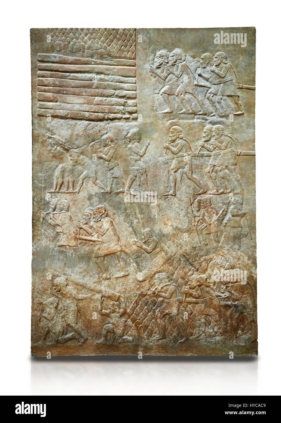 Stein Relief geschnitzte Panel von Zeder vom Libanon transportiert werden. Vom nördlichen Hof, Inv AO 19888 von Dur Sharrukin Palast Assyr Stockfoto