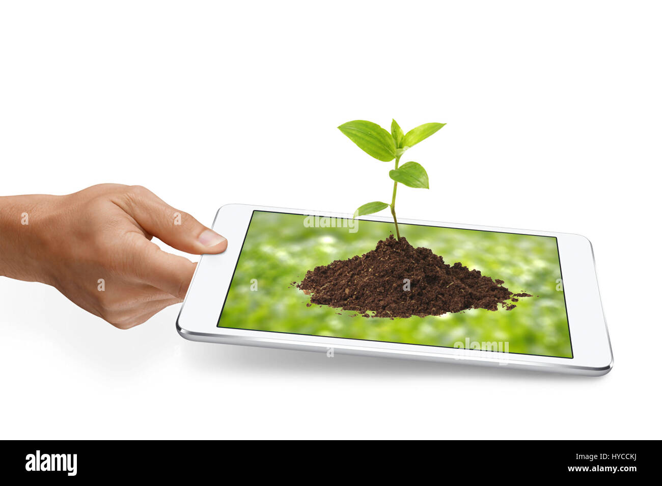 SUST Hand ein Tablet mit Sprout auf grünem Hintergrund verschwommen Stockfoto