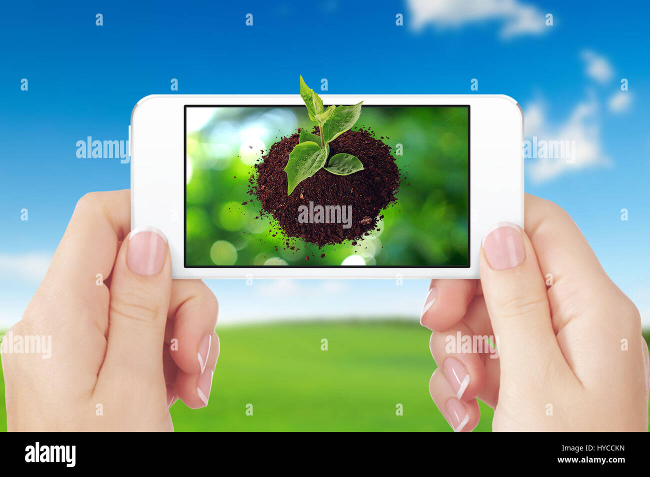 SUST Hand ein Tablet mit Sprout auf grünem Hintergrund verschwommen Stockfoto
