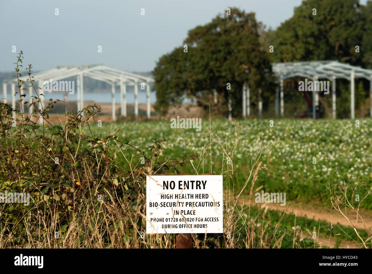 Kein Eintrag hohe Gesundheit Herde Bio-Sicherheitsvorkehrungen im Ort melden Stockfoto