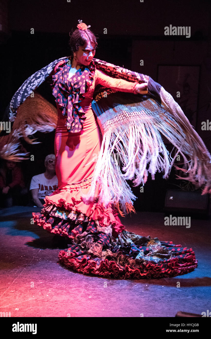 Eine abendliche Flamenco-Vorstellung findet im Museo del Baile Flamenco in der Altstadt von Sevilla, Spanien, statt. Das Museo del Baile Flamenco bietet einen Besuch Stockfoto