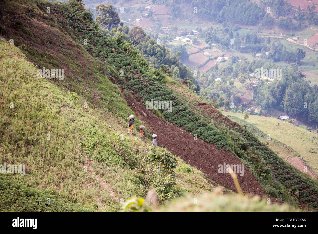 Ländliche Ruanda - 28. Februar 2017: Arbeiter in Tee Terrassen und Landwirtschaft Grundstücke am Hang von Ruanda, Afrika. Stockfoto