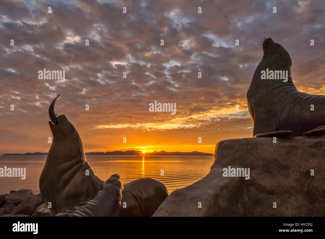 Sea Lion Skulptur auf der Marina-Anlegestelle in Loreto, Baja California Sur, Mexiko. Stockfoto