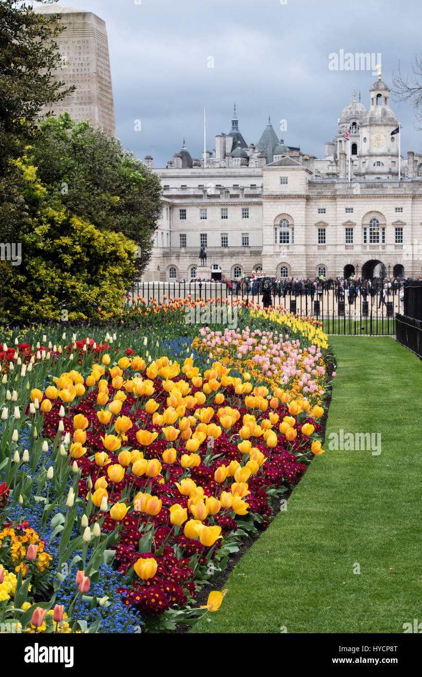 St James Park Frühling Blumenbeet mit Tulpen. City of Westminster. London Stockfoto