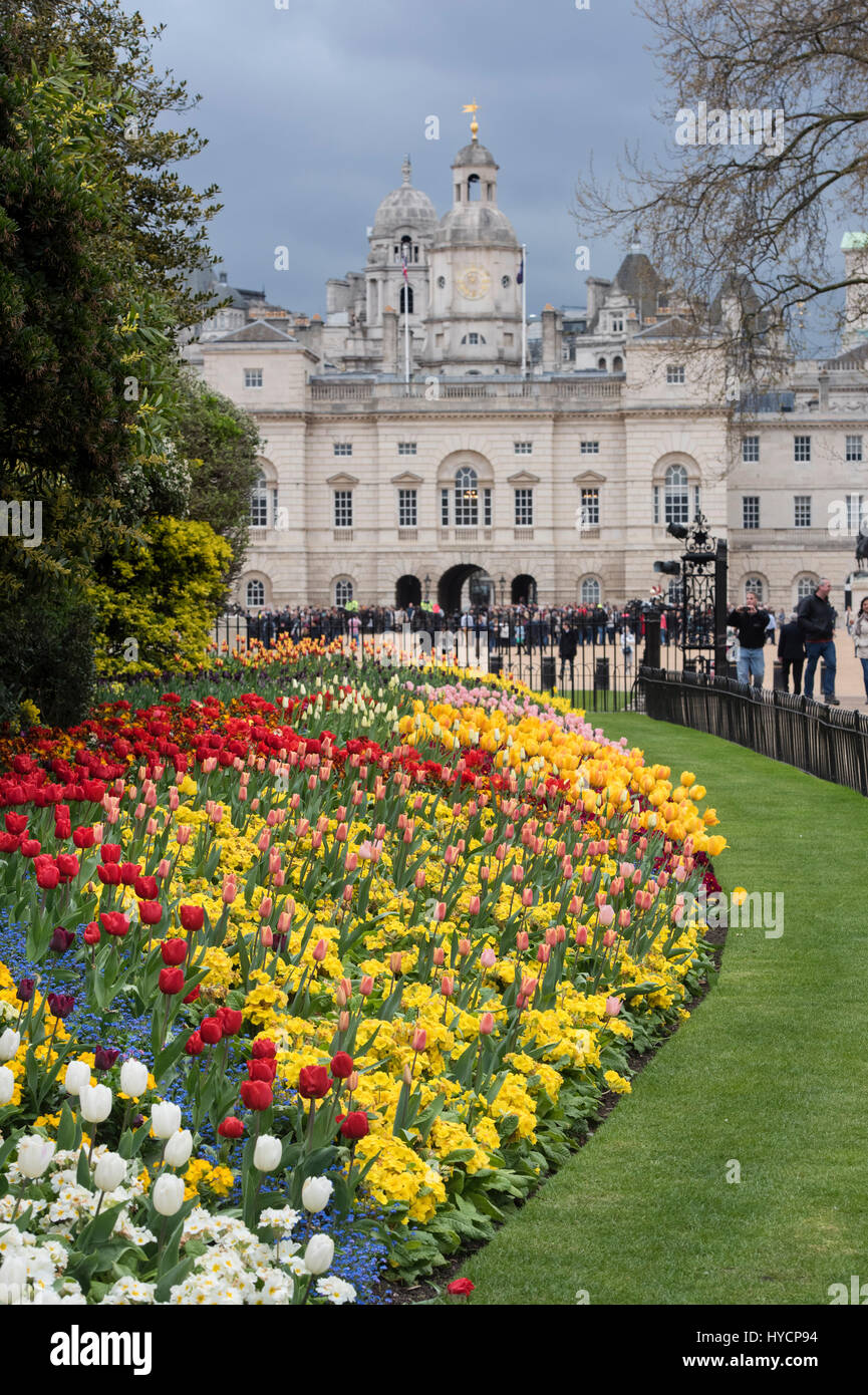 St James Park Frühling Blumenbeet mit Tulpen. City of Westminster. London Stockfoto