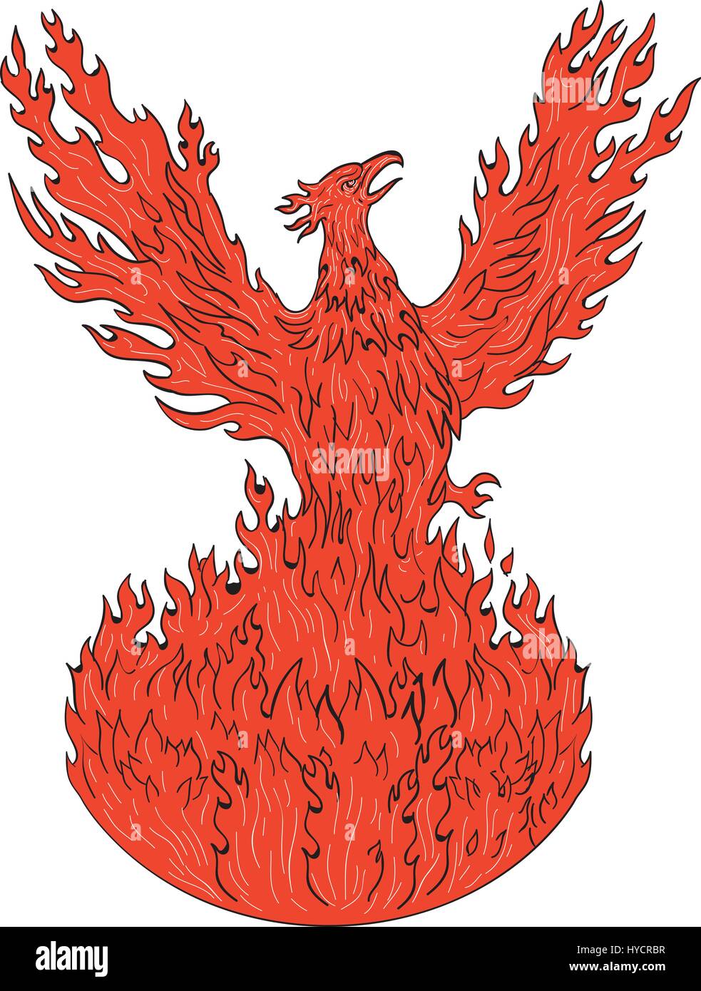 Zeichnung Skizze Stil Abbildung eines Phönix erhebt sich aus feurigen Flammen, set Flügel angehoben für Flug auf isolierten weißen Hintergrund. Stock Vektor