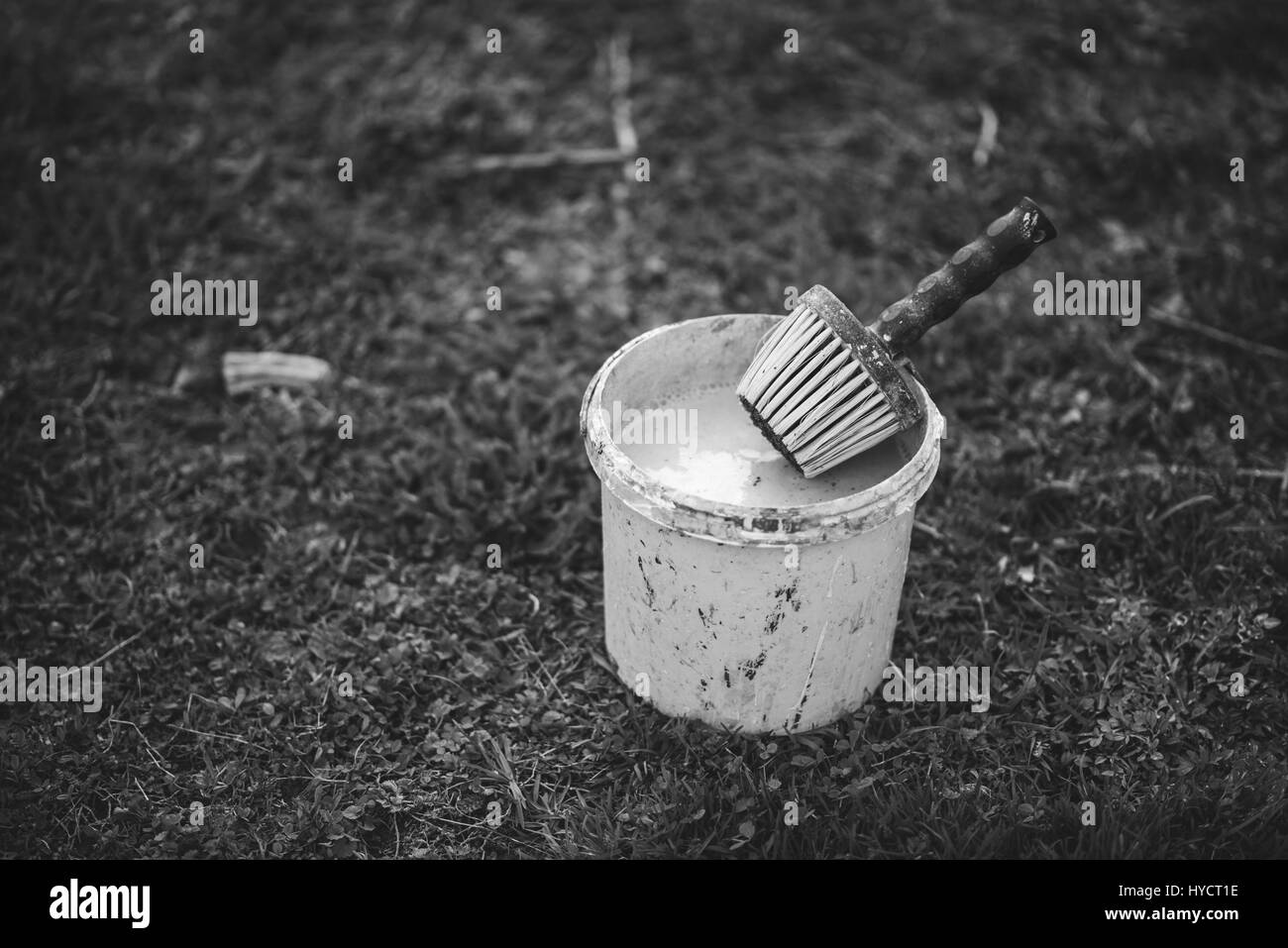 Im Frühjahr Kalken der Bäume. Schutz vor Sonne und Schädlingen. Prozesses. Ukraine Stockfoto