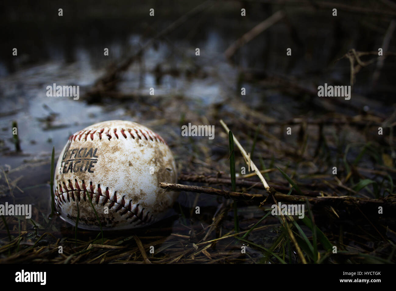 Baseball, sitzen im Wasser, Cooperstown, New York, USA Stockfoto