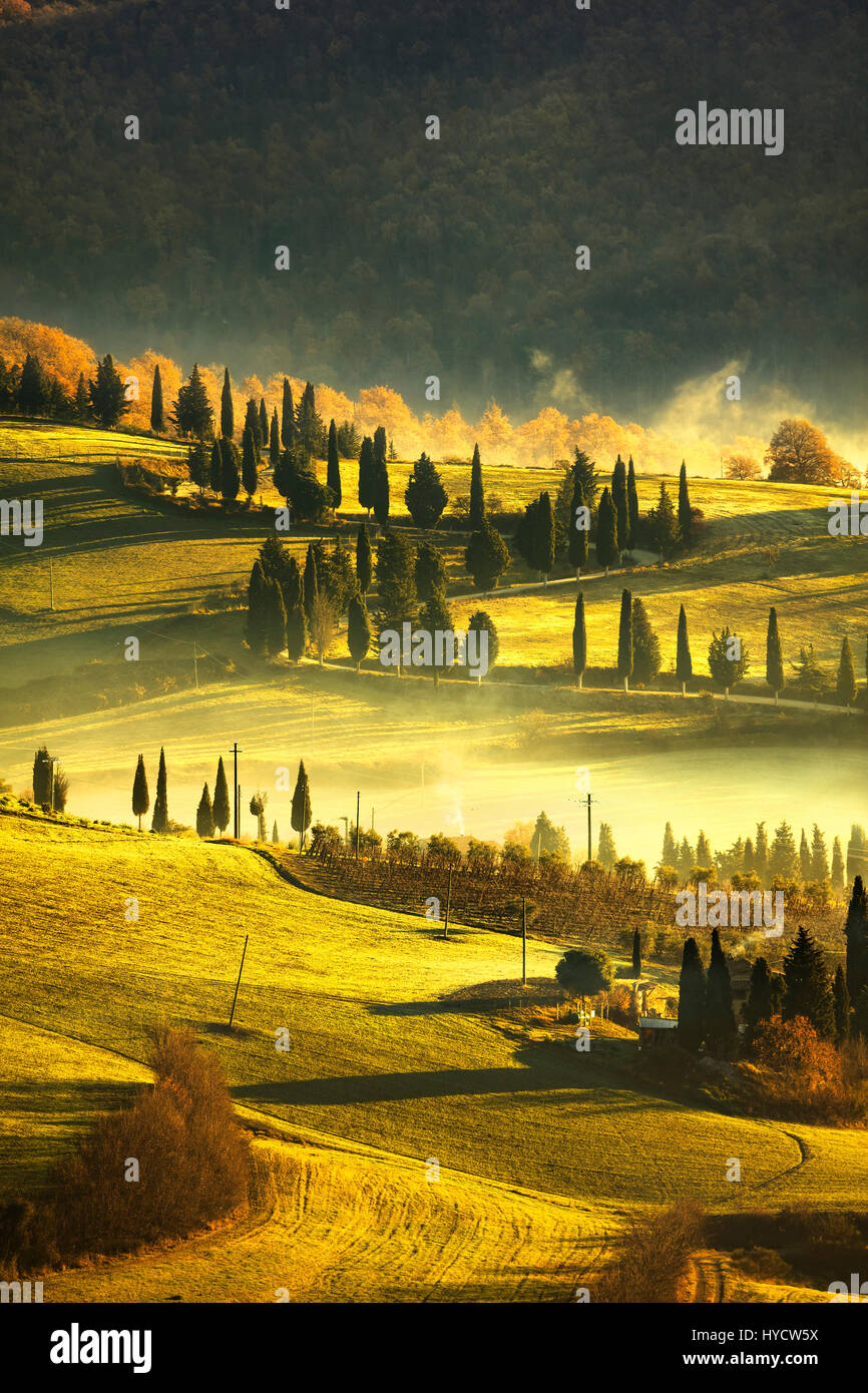 Tuscany nebligen Morgen, Ackerland und Zypresse Bäume Landschaft. Italien, Europa. Stockfoto