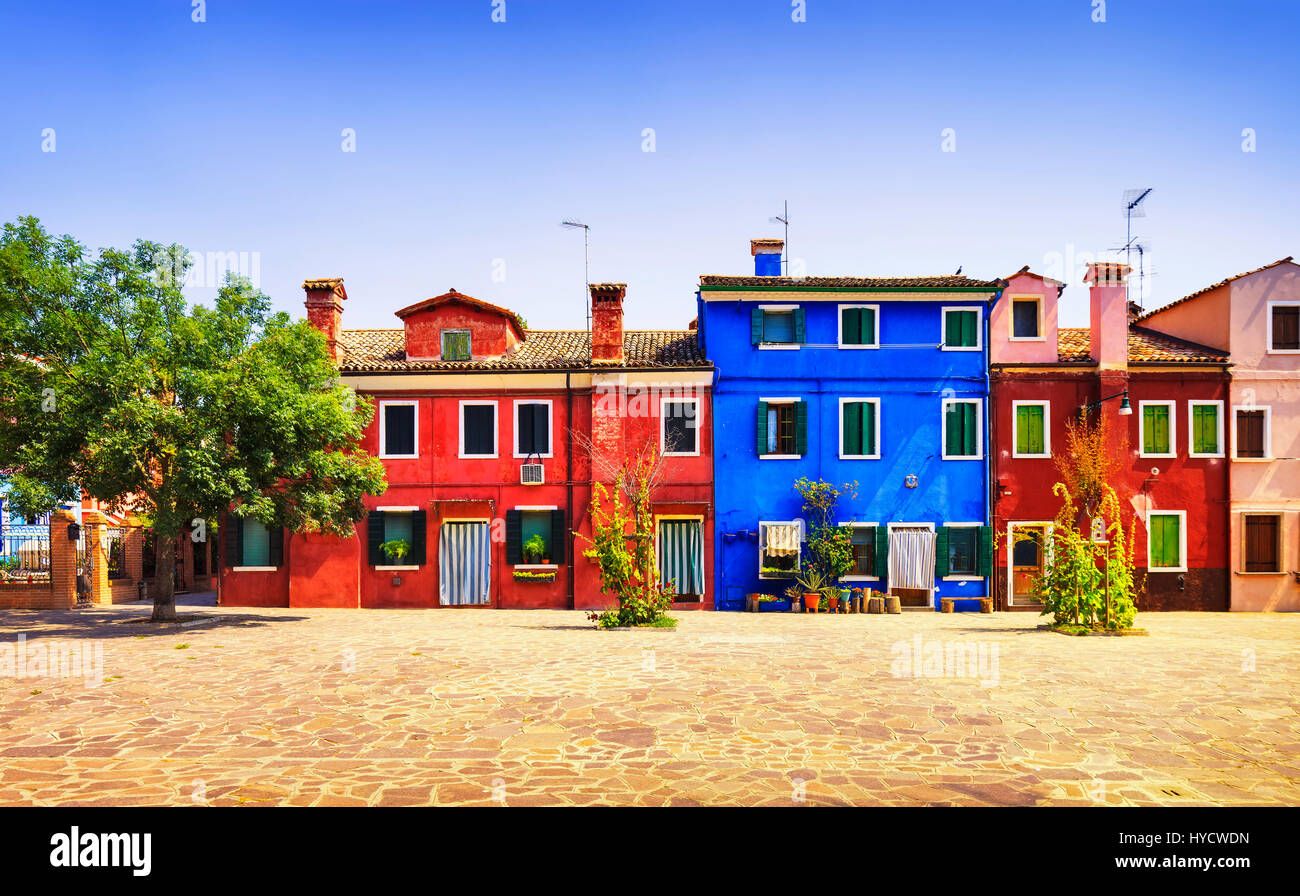 Venedig-Wahrzeichen, quadratischen Insel Burano, Baum und bunte Häuser, Italien, Europa. Stockfoto