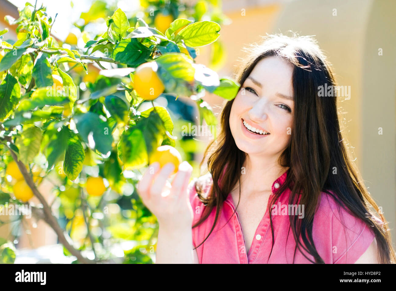 Orangen Sind Nicht Die Einzige Frucht www.alamy.de