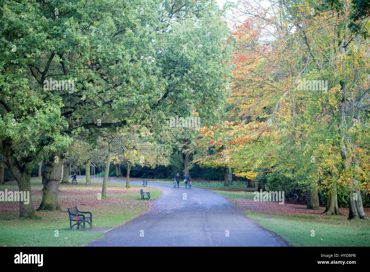 Ein gewundener Pfad macht seinen Weg durch Ormeau Park in Belfast. Stockfoto
