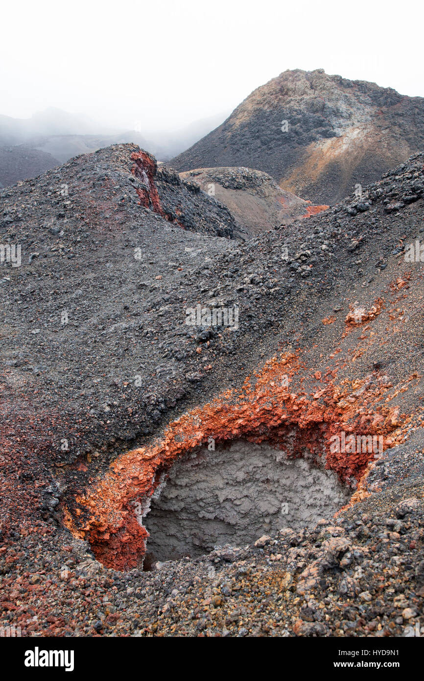 Fumarole, ein Schlot, der Dampf und vulkanische Gase auf dem Vulkan Chico, einem Teil des Vulkans Sierra Negra, auf der Insel Isabela in den Galapagos, ausstößt. Stockfoto