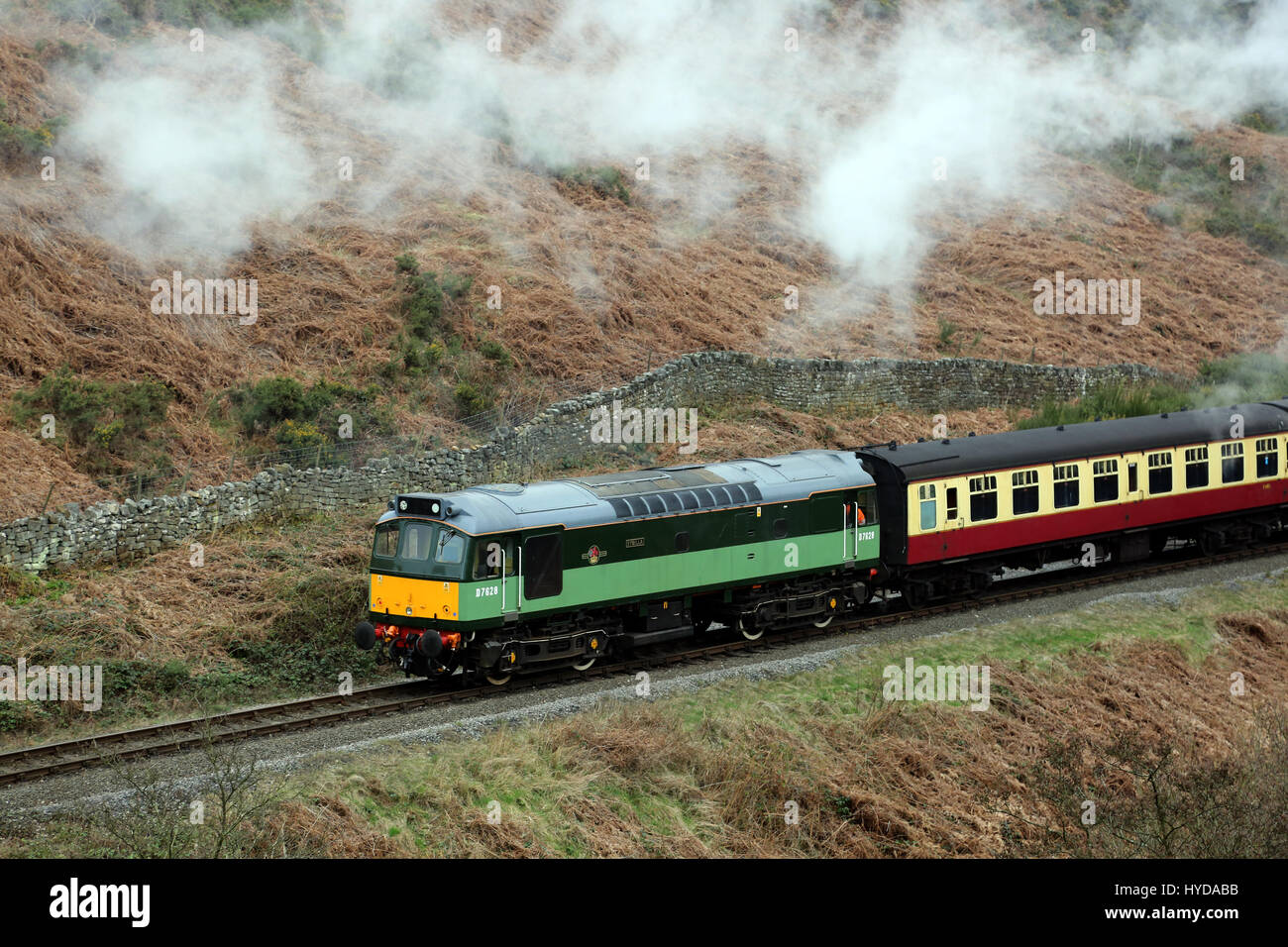 D7628 Sybilla Br Klasse 25 Stockfoto