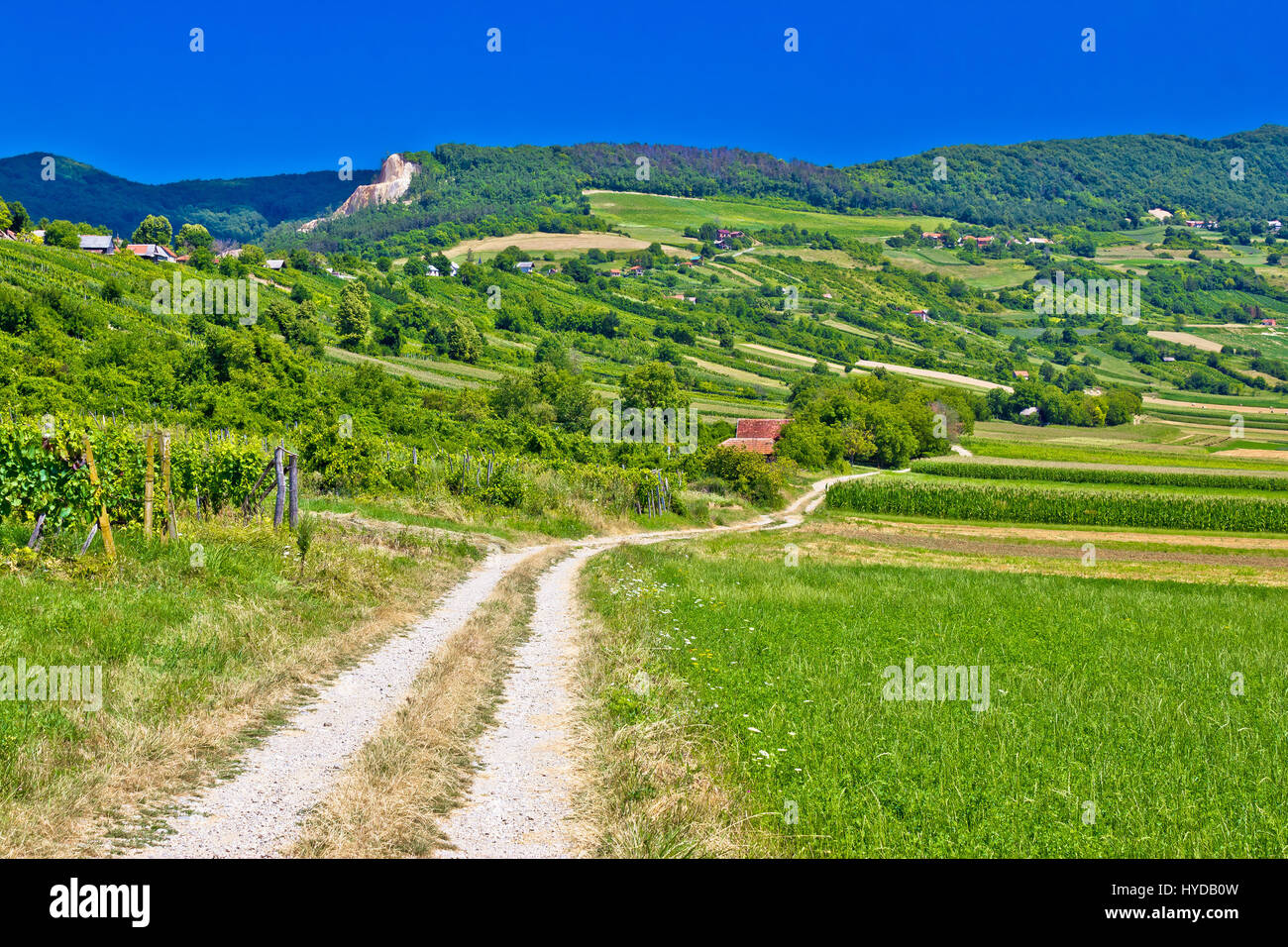 Landstraße in Kalnik Berglandschaft, Prigorje Region in Kroatien Stockfoto