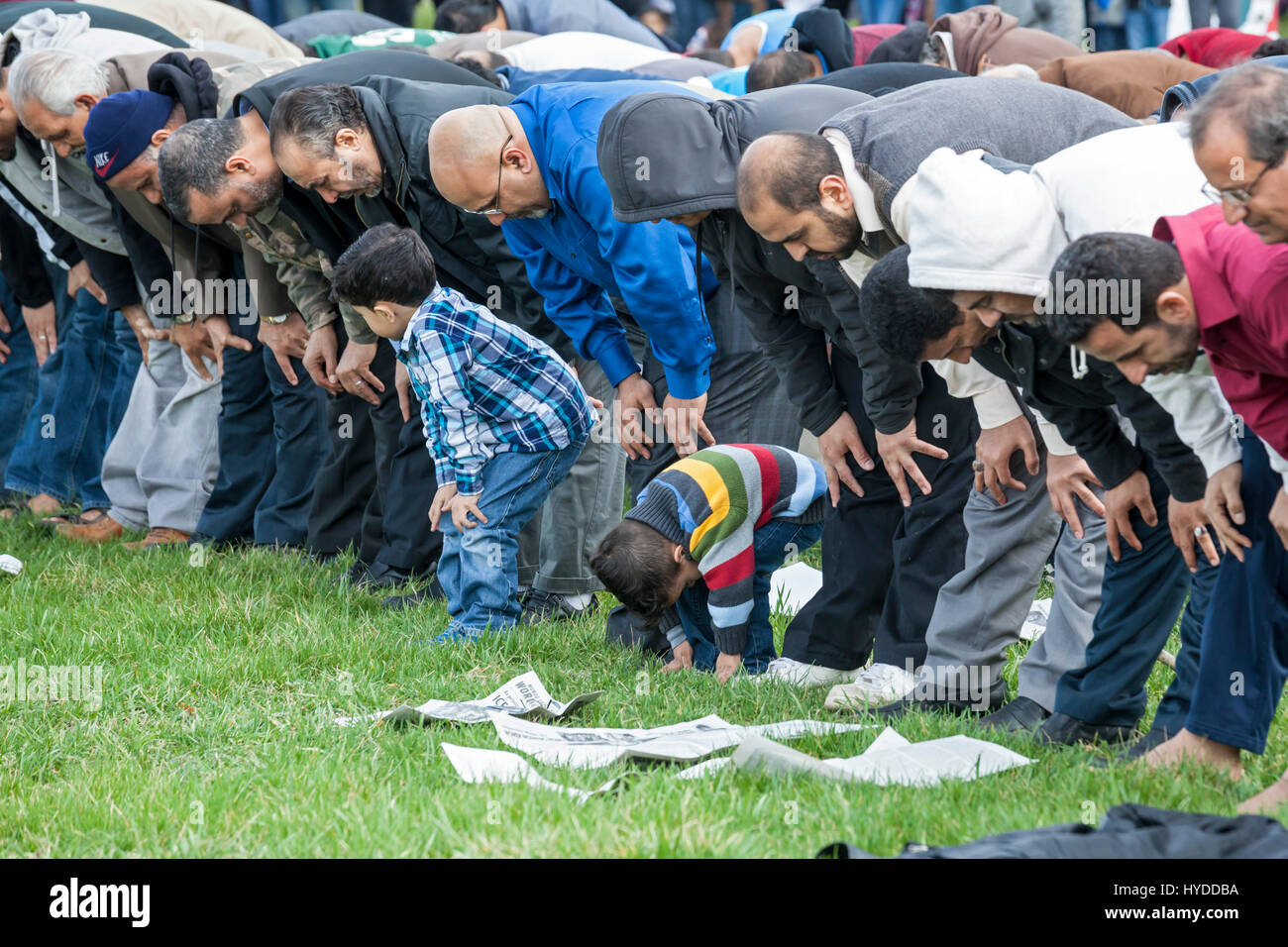 Dearborn, Michigan - muslimische Männer und ein paar Jungs in einem Park in der Nähe der American Muslim Society Moschee zu beten. Das Freitagsgebet kam am Ende einer Einheit Stockfoto