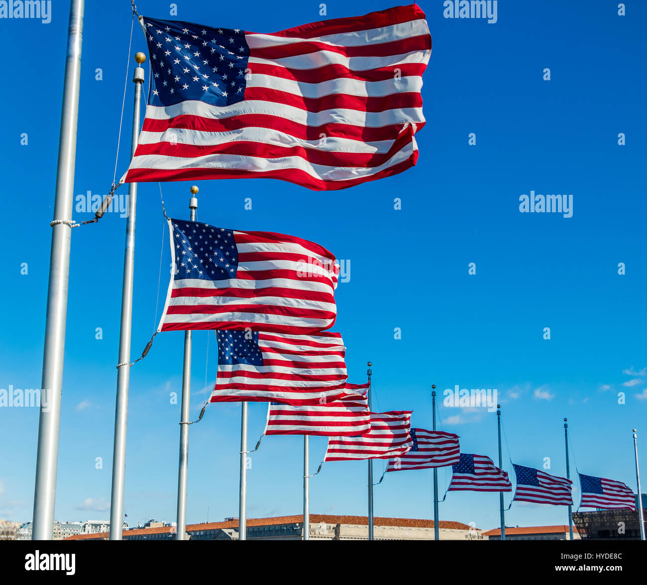 Viele amerikanische Flaggen wehten am Washington Monument - Washington, D.C., USA Stockfoto