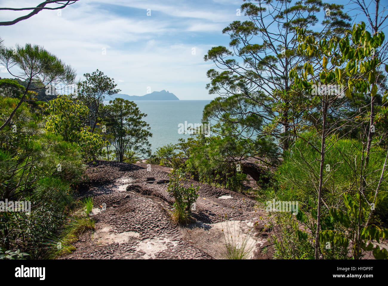 Aussichtspunkt am Bako Nationalpark Stockfoto